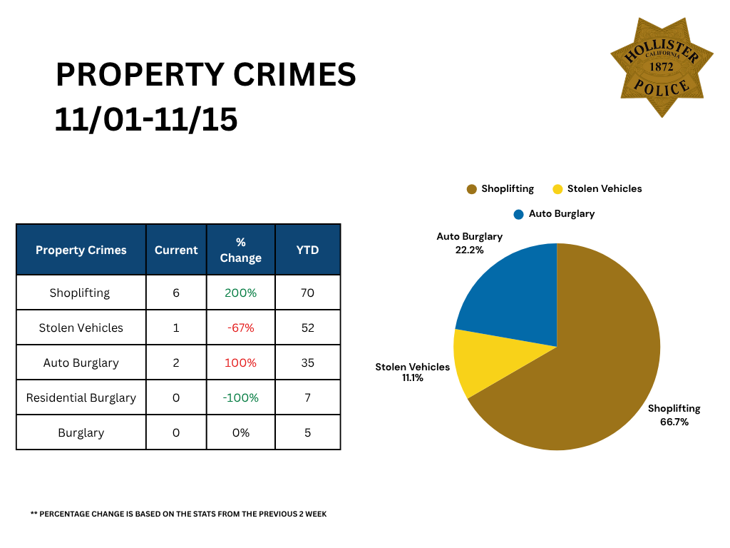 Property Crimes